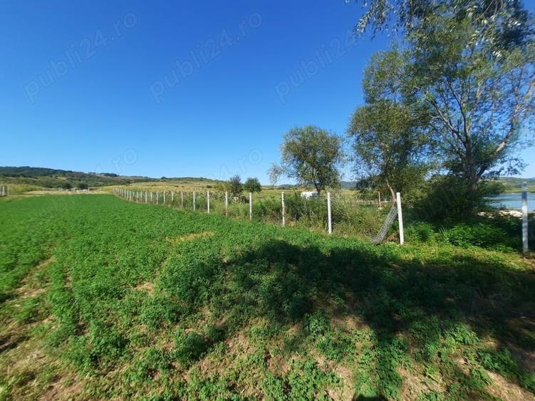 Teren de 1000 mp, în Berzasca