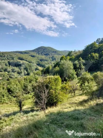 Teren în Poiana Ampoiului