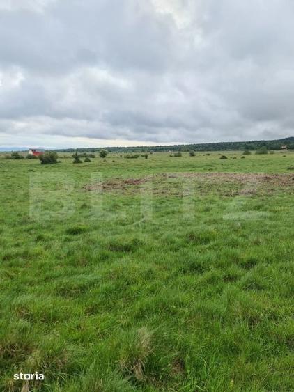 Teren de 7400 mp, în Centrul Istoric