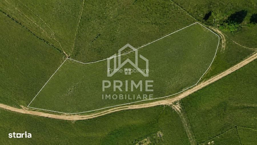Teren INTRAVILAN | 4272 mp | Campeni