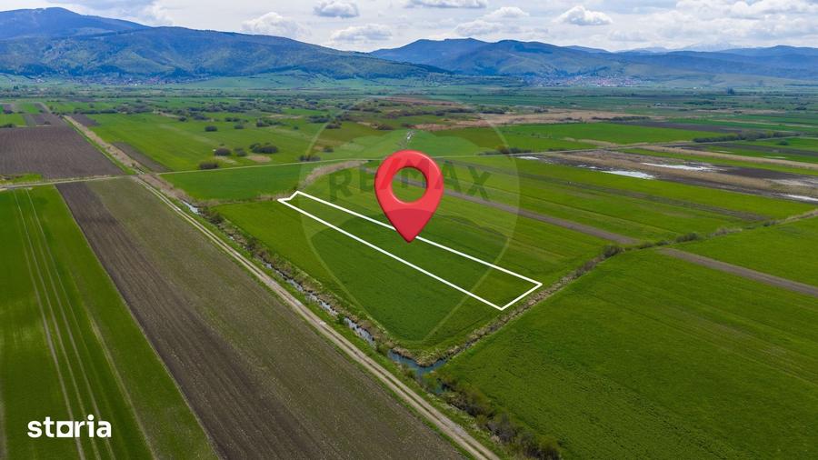 Teren de 4000 mp, în Prejmer