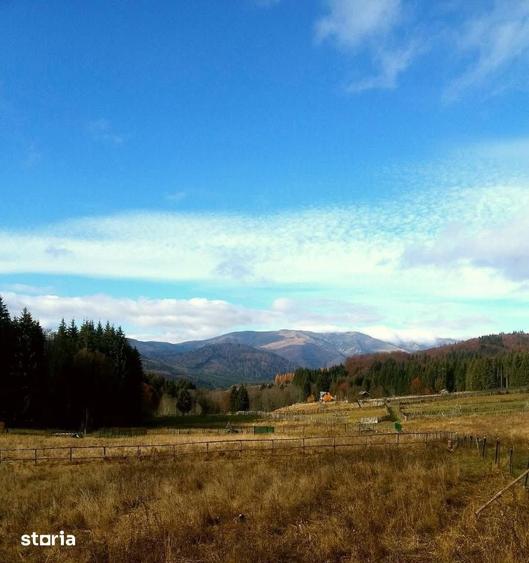 Teren de 2500 mp, în Valea Doftanei