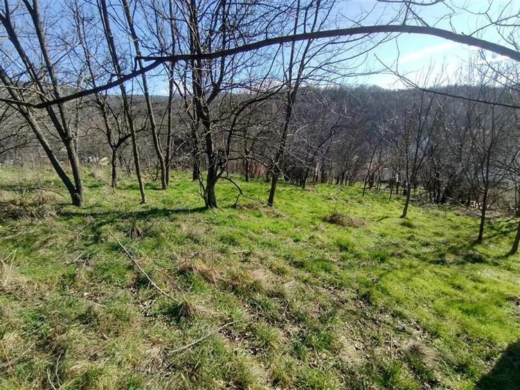 Teren Construcții intravilan de 3800 mp, în Vest