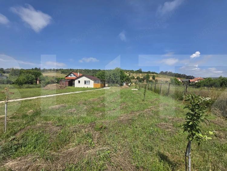 Casă cu Teren 1234 Mp în Moacșa