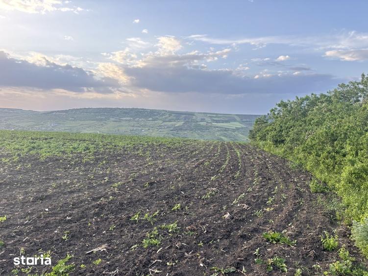 Teren pt investitie/ Valea Fanatelor/ 5 km de Auchan - 2