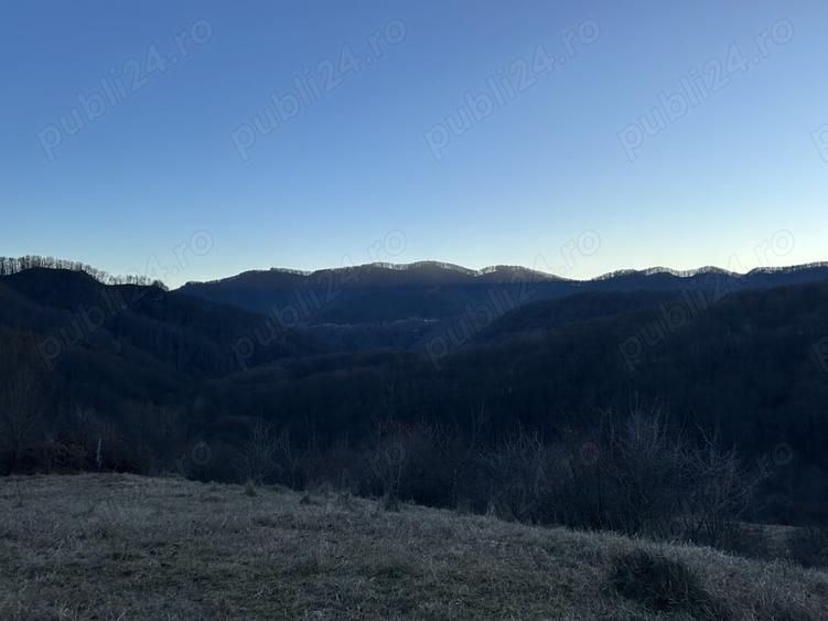 Teren de 4000 mp, în Gurguiata
