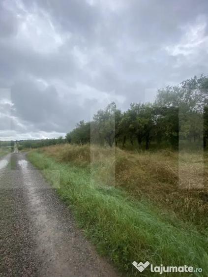 Teren cu poten?ial reziden?ial Simeria Veche, Sfantu - Sfantu Gheorghe (Covasna) - 4