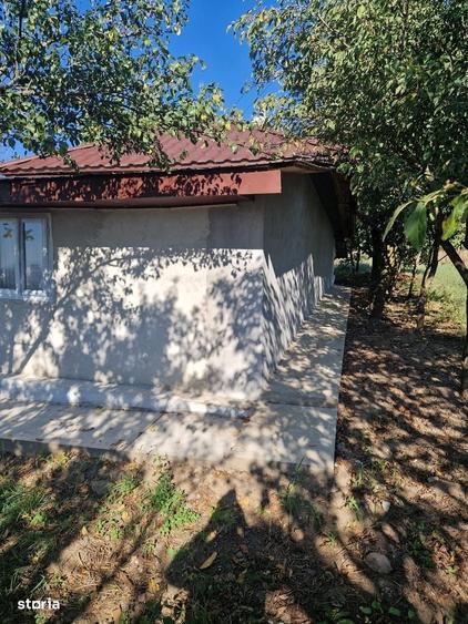 Casă cu 2 camere în Burlești