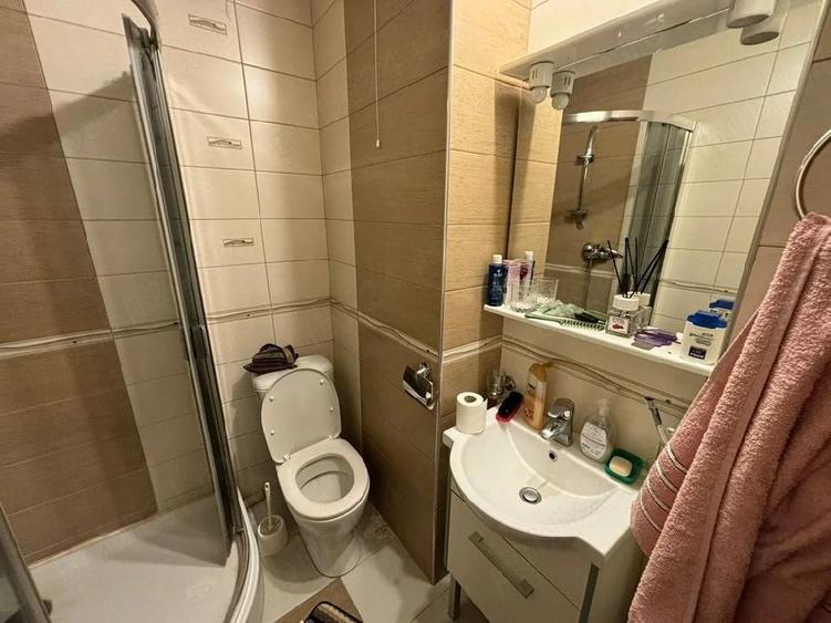 Apartament 2 camere Aleea Teilor - 2