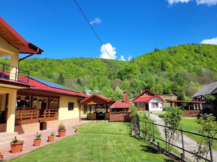 Casă individuală cu 7 camere cu Teren 1340 Mp în Brăduleț