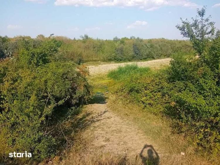 Teren de 15000 mp, în Filipeștii de Pădure