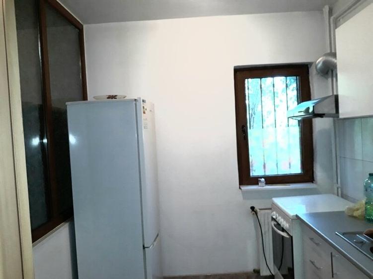 Colentina Rau, Mc Donalds, Mr. Bacila, Parc Plumbuita, stradal - 10