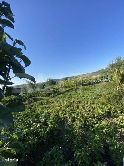 Teren de 800 mp, în Șieu