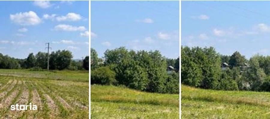 Teren de 1800 mp, în Zvoriștea
