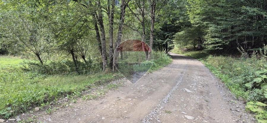 Teren Construcții intravilan de 2800 mp, în Tarcău