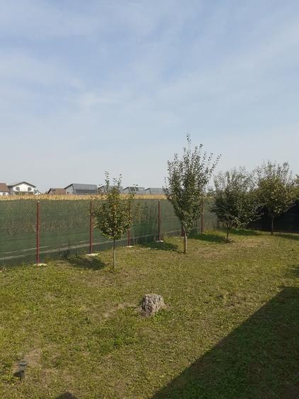 Teren de 316 mp, în Exterior Vest