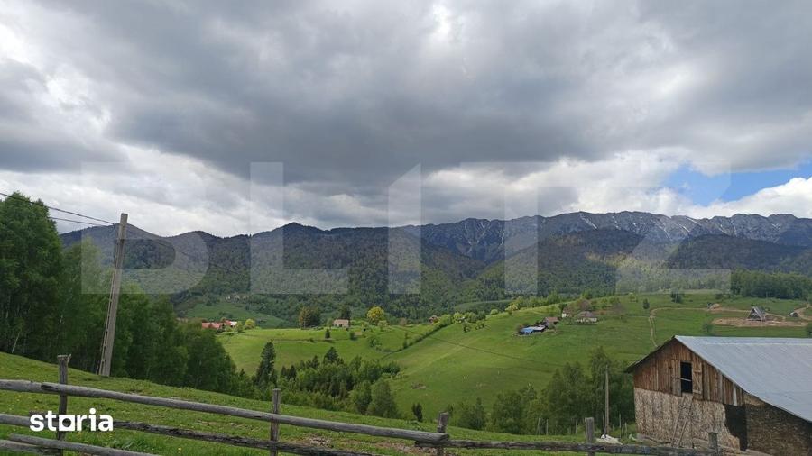 Teren de 4649 mp, în Peștera