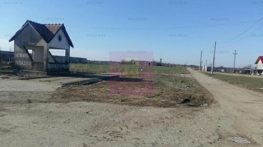 Teren Construcții intravilan de 15750 mp, în Balotești