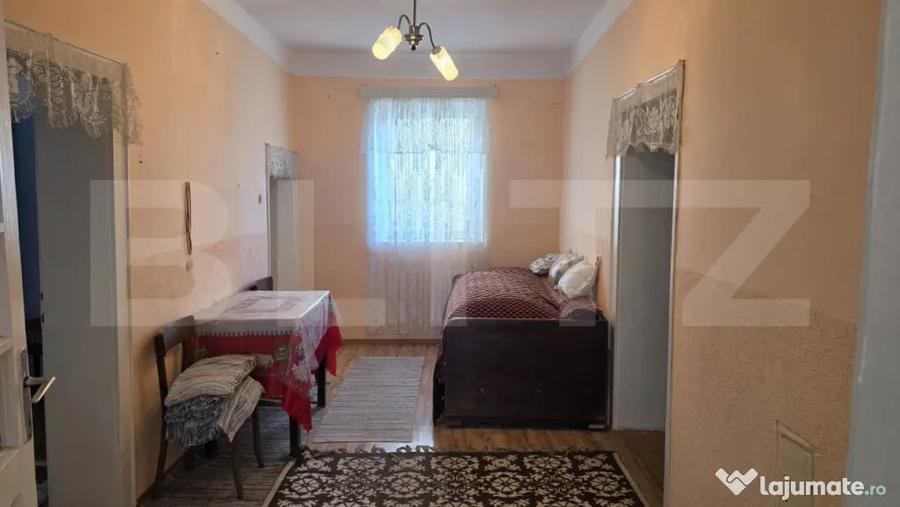 Casă cu 4 camere cu Teren 2658 Mp în Sătmărel