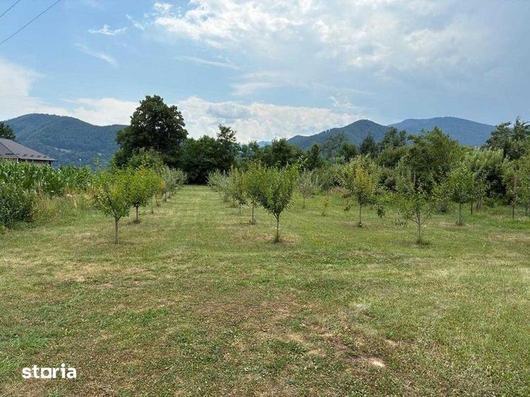 Teren de 2000 mp, în Bistrița