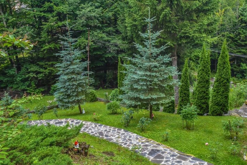 Vila de vanzare in Sinaia - 17