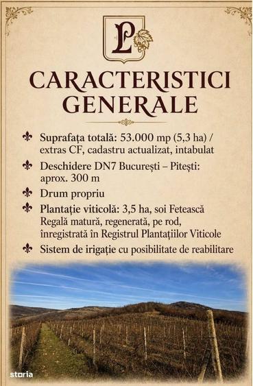 Spațiu comercial, în Călinești