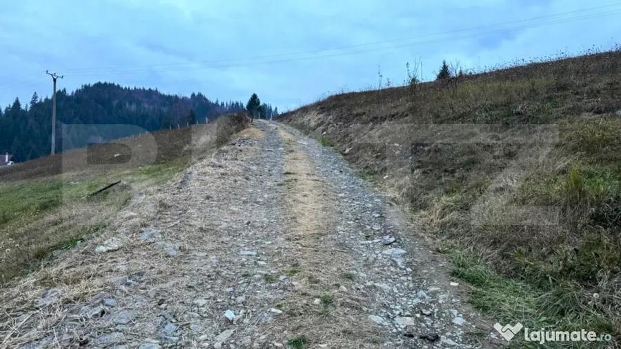 Teren de 2500 mp, în Colibița