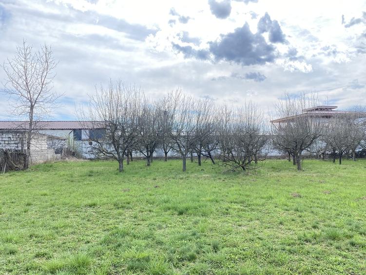 Teren în Pruni