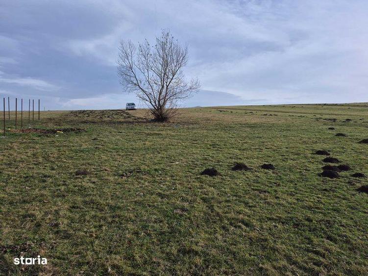 Teren de 1500 mp, în Orlat