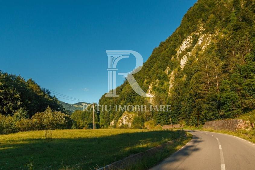 Proprietate specială, de 200 mp, în Remeți