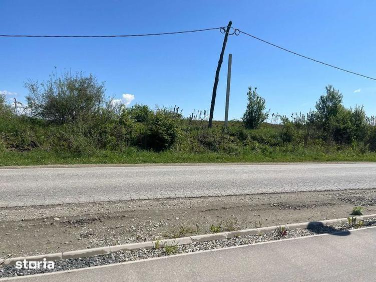 Teren de vanzare Valea Avrigului - 4
