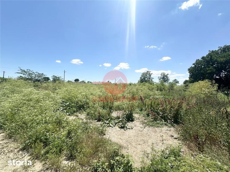 Teren de 1700 mp, în Amzacea