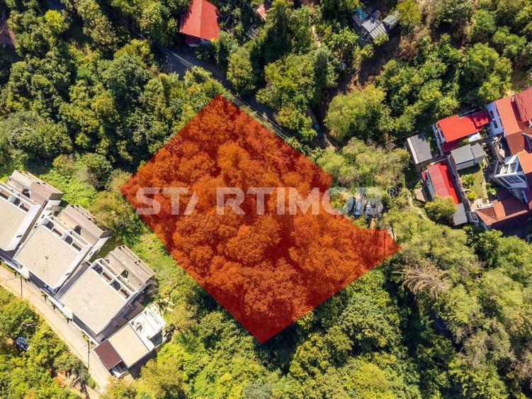 Teren Construcții intravilan de 2385 mp, în Schei