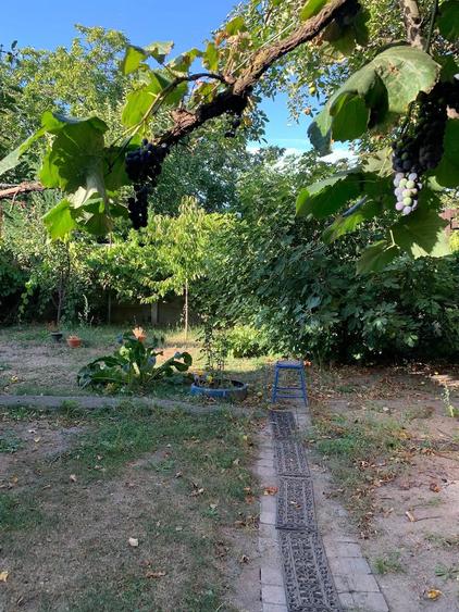 Casă cu 17 camere cu Teren 414 Mp în Mehala