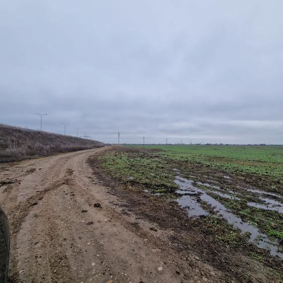 Teren agricol intravilan de 4000 mp, în Dimieni