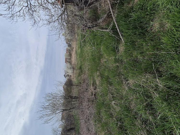 Casă cu Teren 2880 Mp în Central