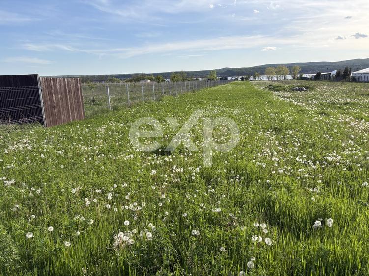 Teren agricol extravilan de 2109 mp, în Budeasa Mare