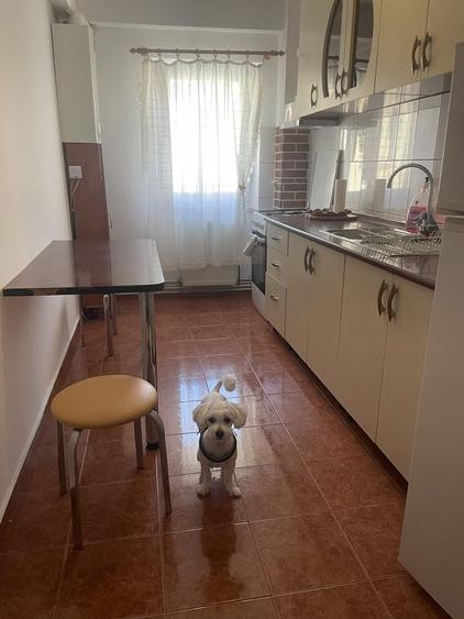 Apartament cu 2 camere decomandat în Drumul Carului