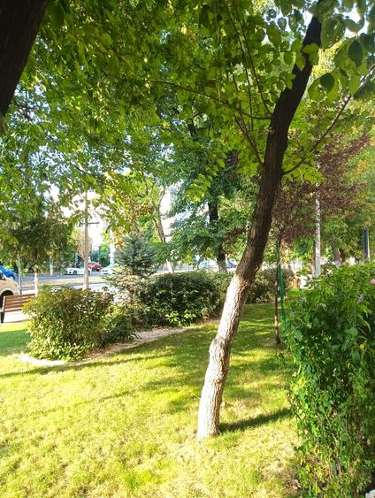 Apartament cu 4 camere în Sebastian