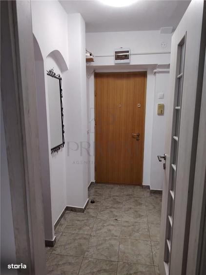 Apartament cu 2 camere semidecomandat, mobilat în Iosefin