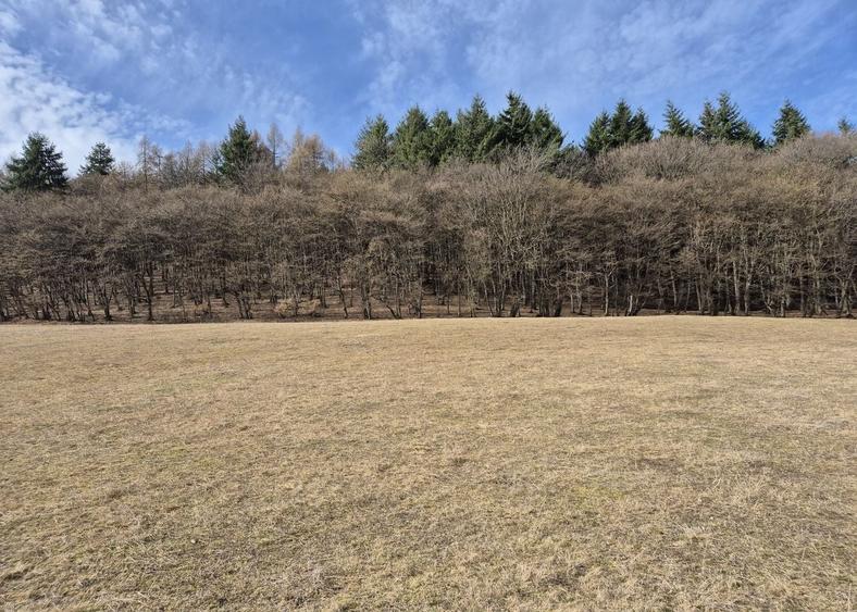 Teren Construcții intravilan de 655 mp, în Corușu