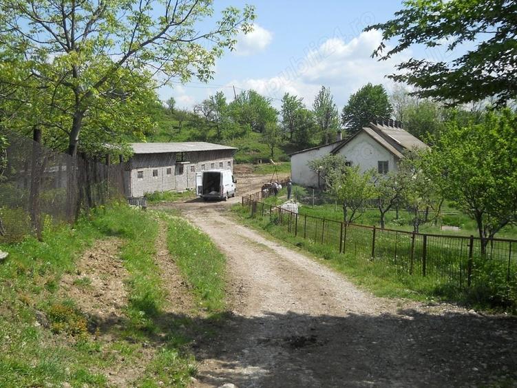 Teren în Toculești