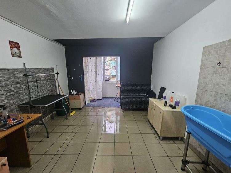 Spațiu comercial, de 42 mp, în Trivale