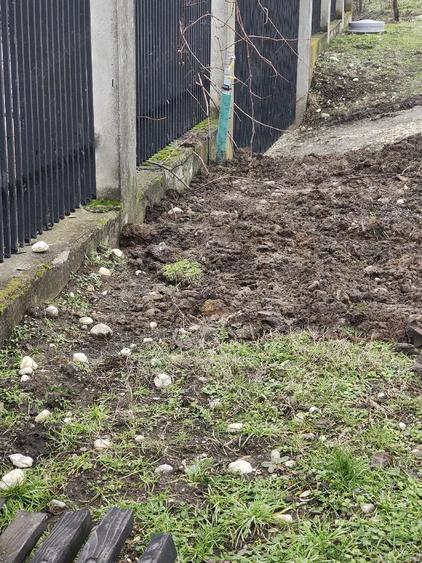 Casă cu 6 camere cu Teren 2160 Mp în Baciu