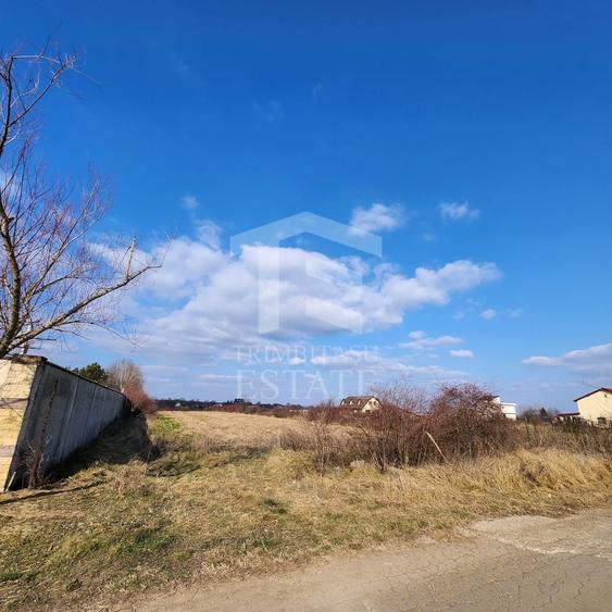 Teren Construcții intravilan de 5000 mp, în Vlădiceasca