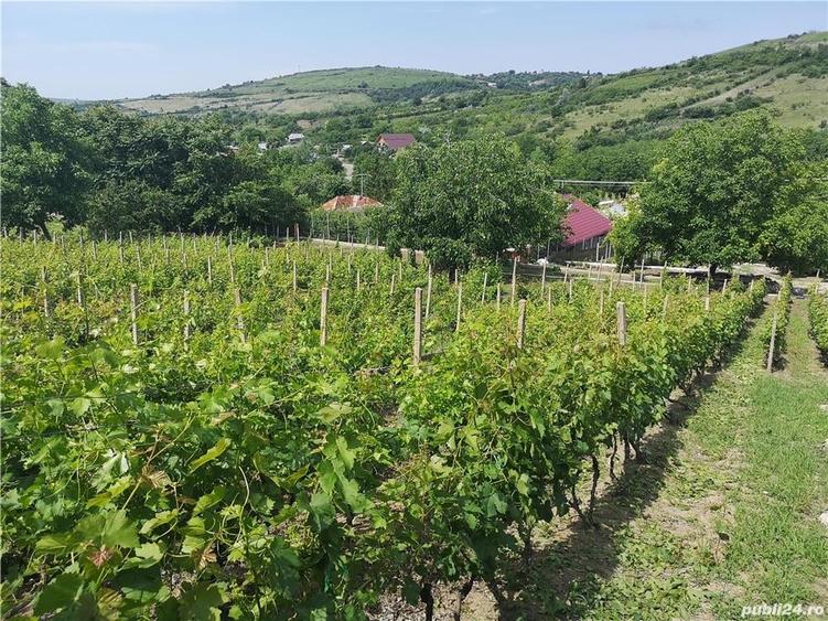 Casă cu Teren 5060 Mp în Vispești
