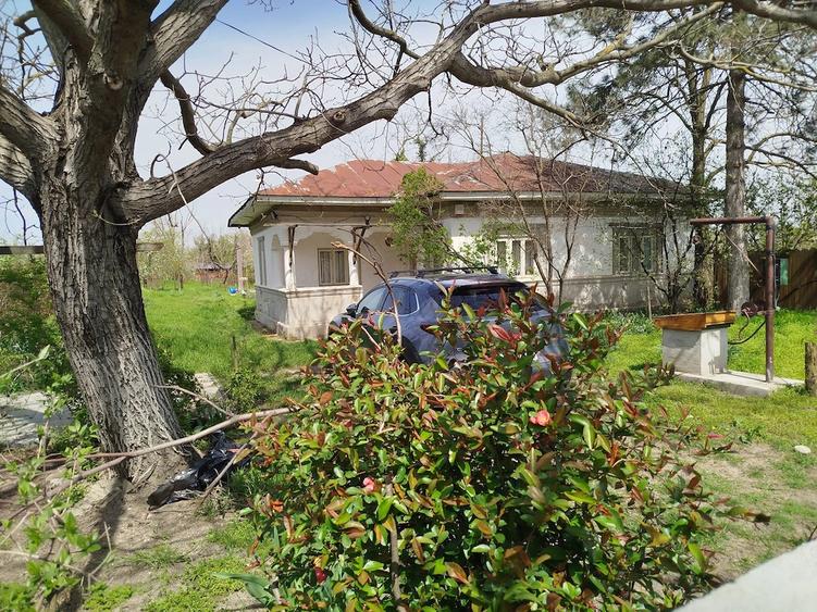 Casă cu 5 camere cu Teren 1450 Mp în Goleasca