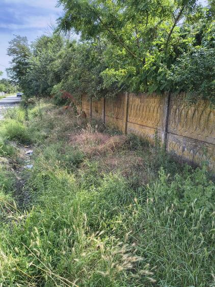 Casă cu 3 camere în Central