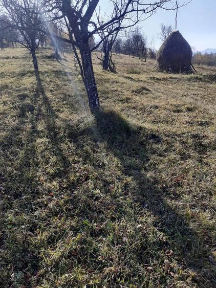 Teren de 2000 mp, în Poienile Izei