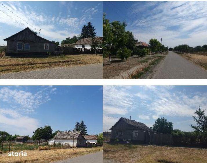 Cota de 1/2 din casa si teren Loc. Beba Veche jud. Timis, - 2